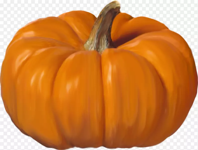 ��ɫ�Ϲ�-������