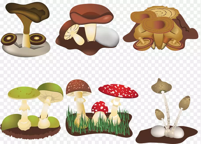 ��ͨĢ���ز�-������