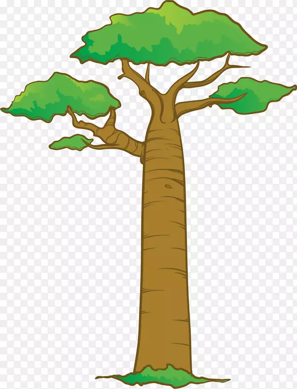 ����ɫ��ͨ�����-������