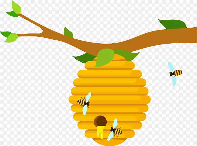 ��ͨ�ɰ�С����װ�ζ���ͷ��-������