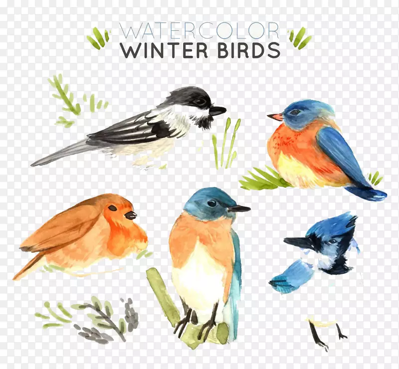 ˮīɫ��С���ز�ͼ-������