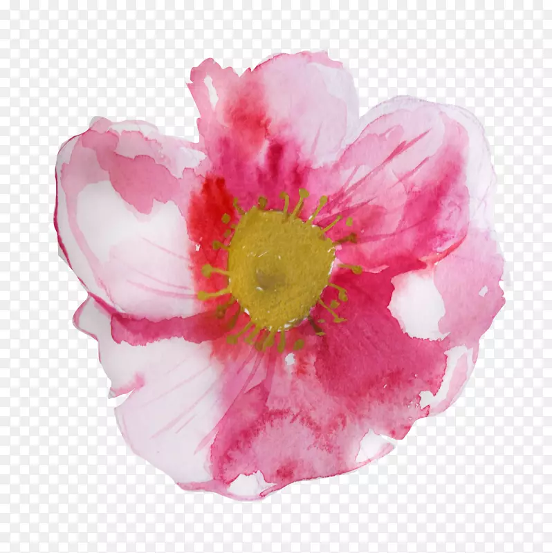 �ֻ�ˮ�ʴ�컨-������