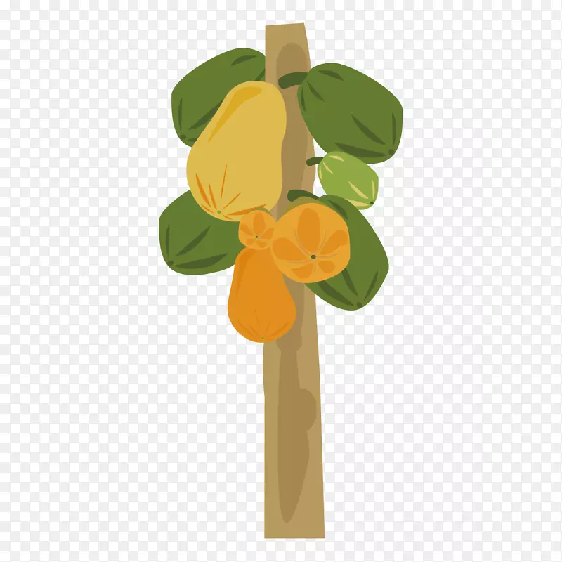 ����ˮ��ľ����ʸ��-������