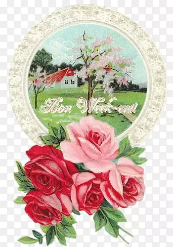 �ֻ滨���ز�-������