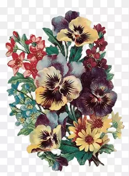 �ֻ滨��Ӱ�ֻ��ز�-������