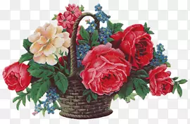 �ֻ濨ͨ�����زĿ�ͨ����ͼ��-������