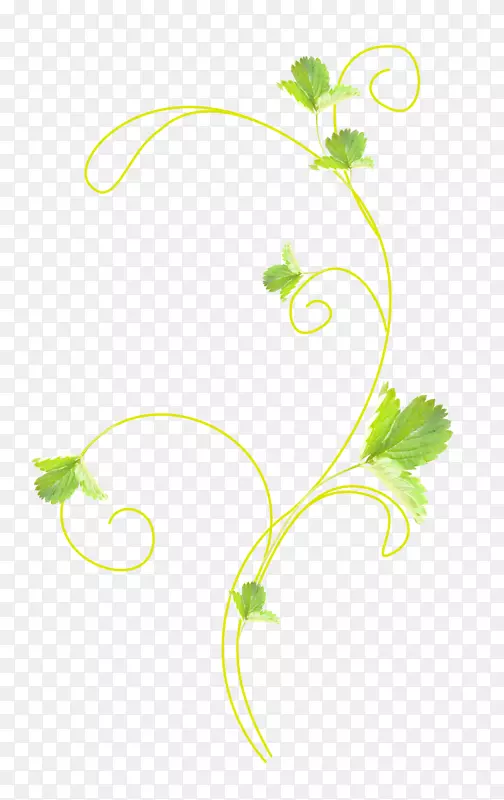 �ٲ�-������