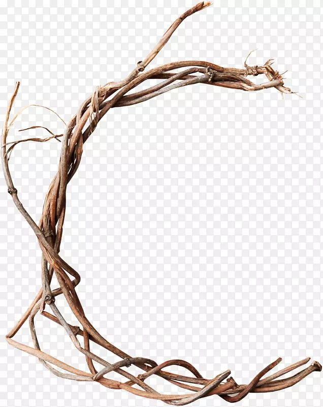 ��ľ-������