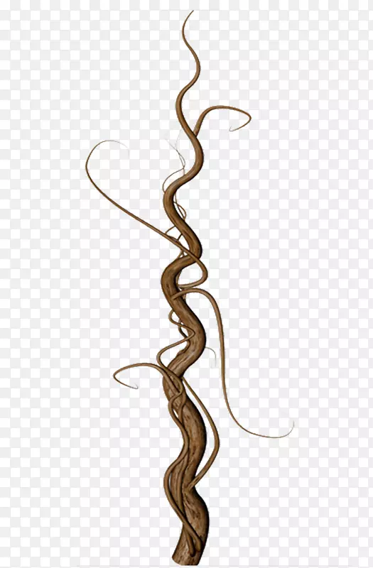 ����ز�����ͼƬ-������