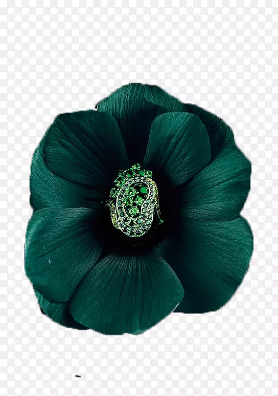 ī�̻���-������