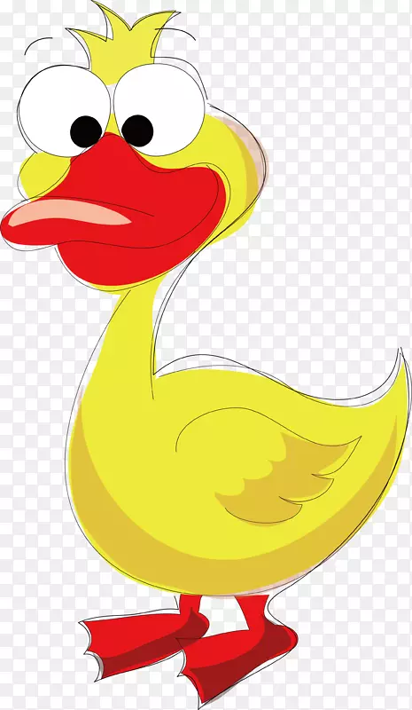 ��ͨ��ɫѼ������-������