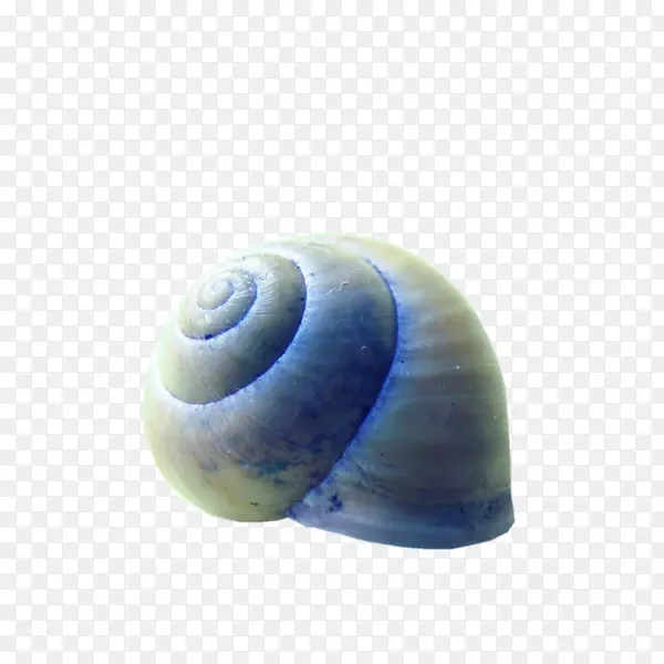 ˮ������-������