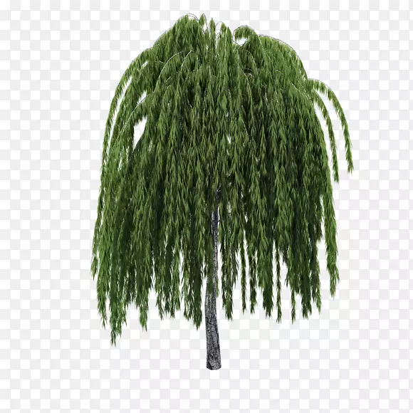 ��-������