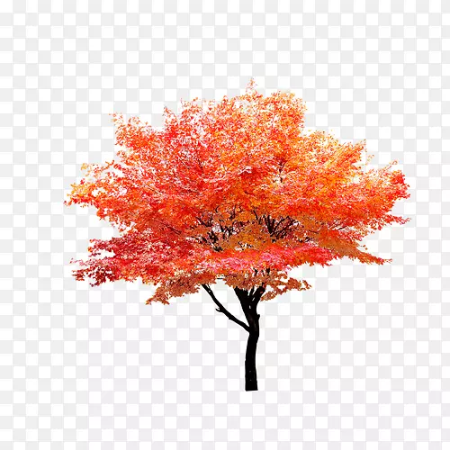 ��-������