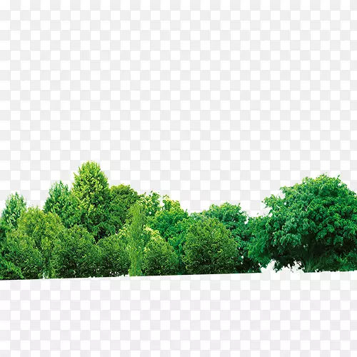 ��-������