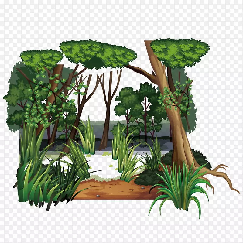 ɭ��������ʸ���ز�-������