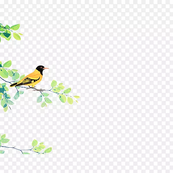 С������ɫ��֦-������