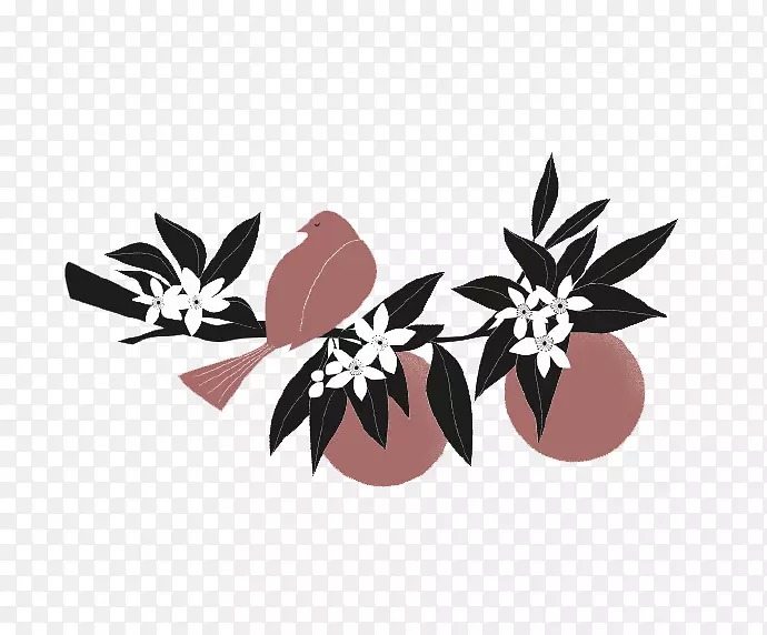 ��ͨ������-������