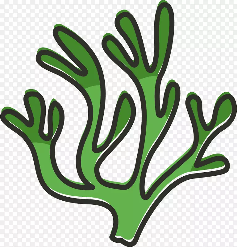 �ֲ�ʸ����ɫ����-������