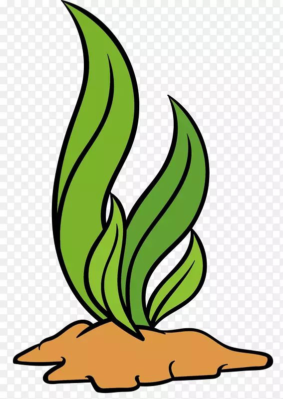 Ʈҡ�Ŀ�ͨ��ɫ����-������