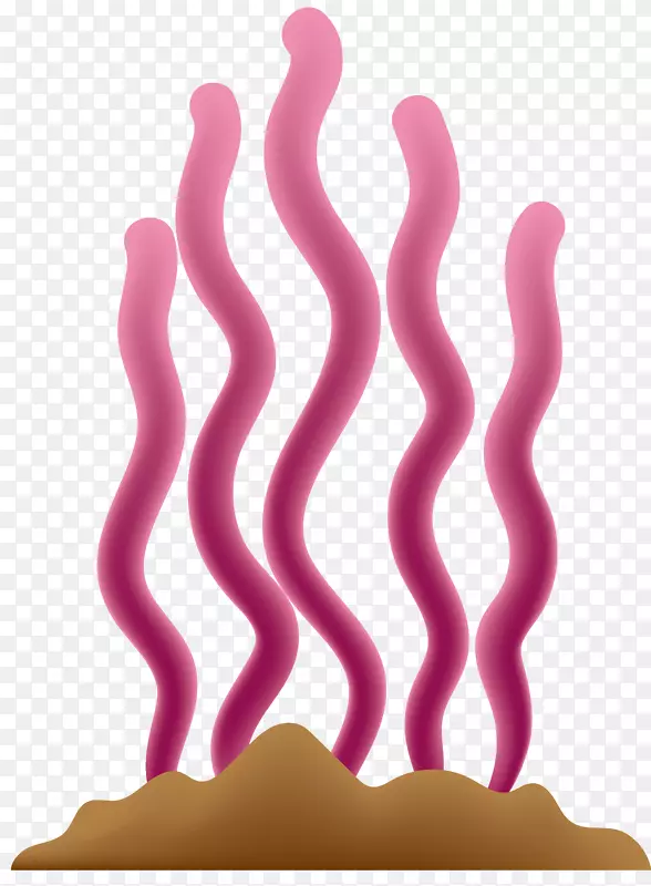 �ۺ�ɫ����ʸ������-������