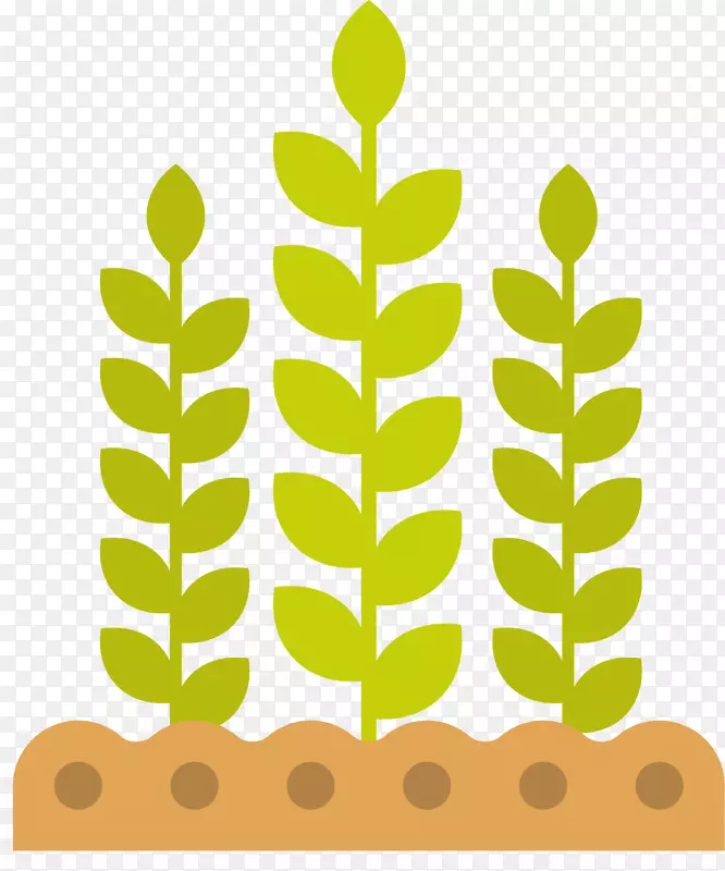 ��ƽ���ɫ����-������