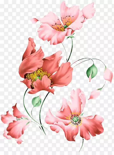 ��欶��˵�ˮ�ʻ�-������