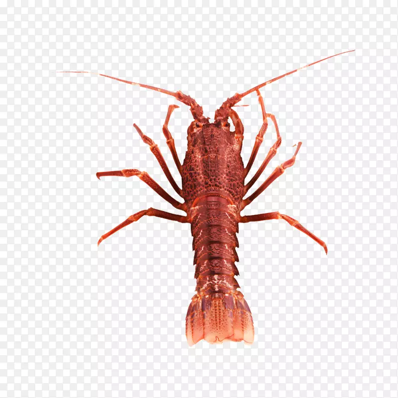 С��Ϻ��������ز�-������