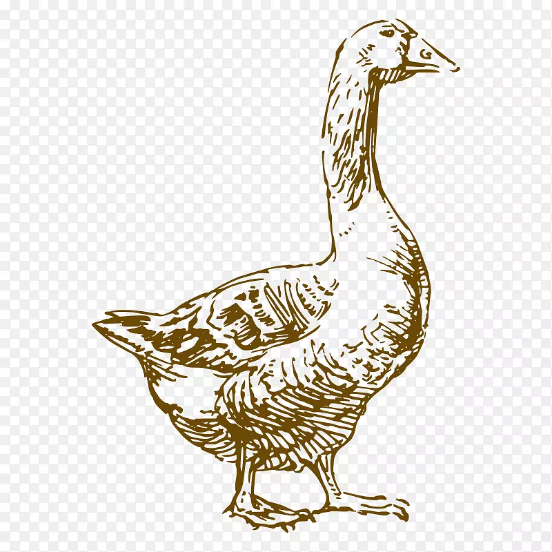 ���� ����-������