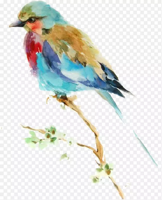 ���տ�ͨС����װ�β廭������-������