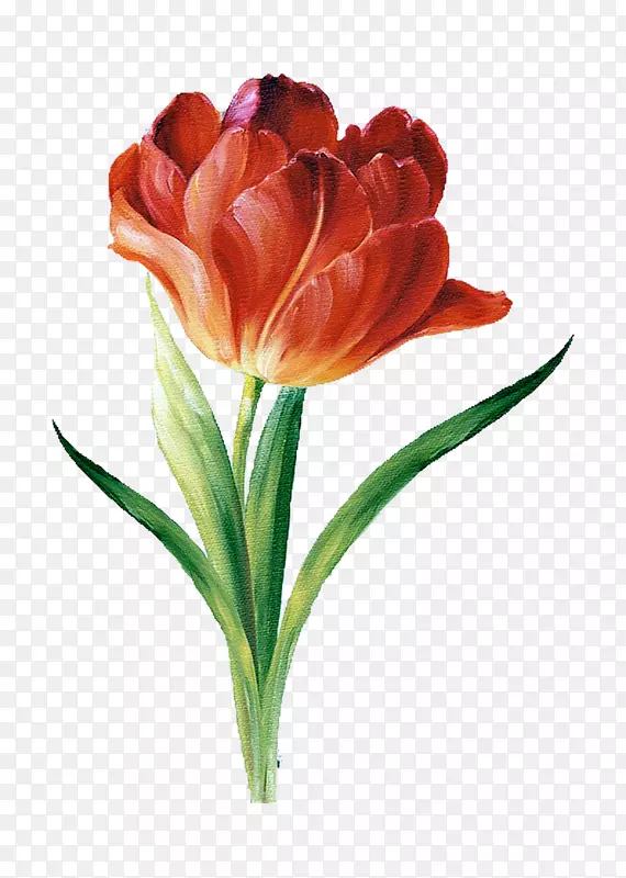 ˮ�ʻ��ѹ����������-������