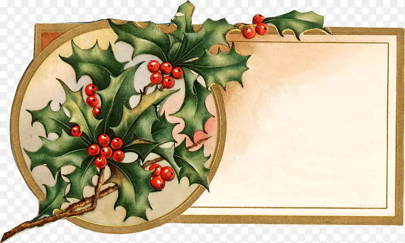 ʥ�����ز�װ���ز�-������