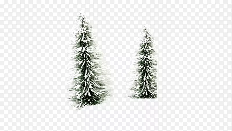 ѩ��ʥ����-������