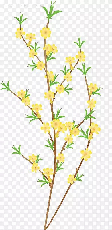 ��ɫС��-������