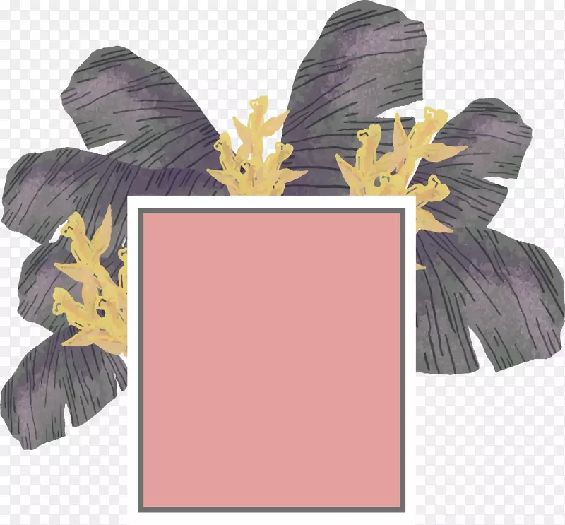 ��ɫ������������-������