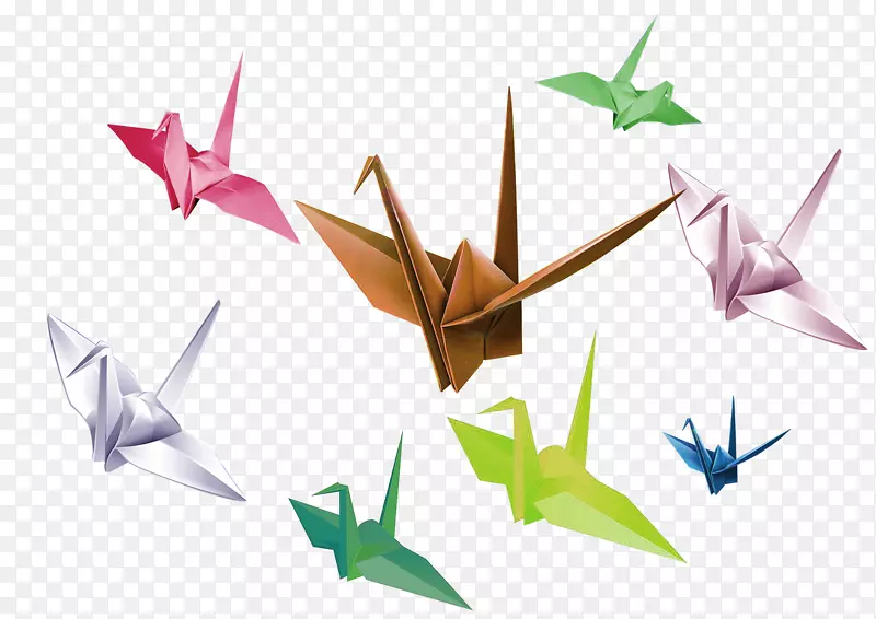 �������ǧֽ��Ư���ز�-������