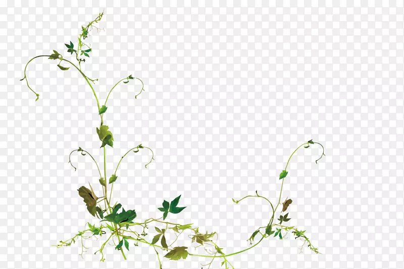 ʸ������-������