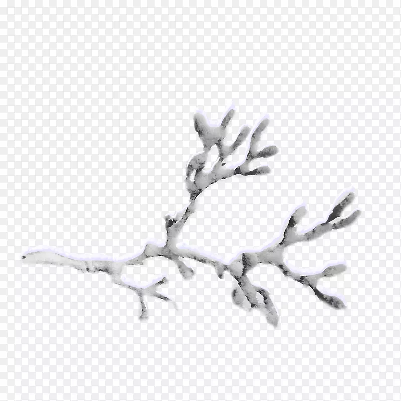 ����ѩ������֦����-������