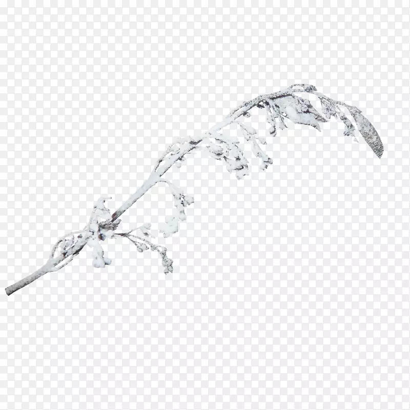 �����ѩѹ��֦����-������