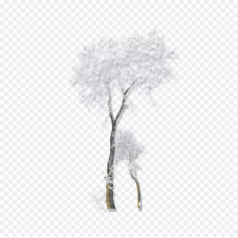 �����ѩ���ǵ�������-������