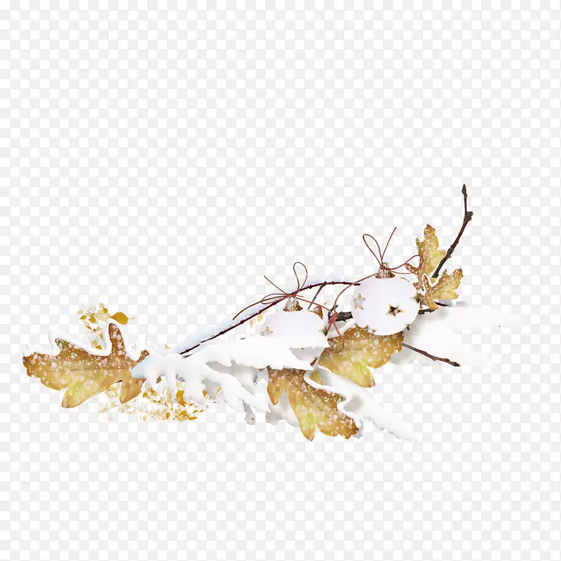 �����ѩ������֦-������