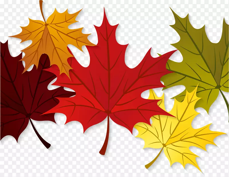 �＾�ж��ڷ�Ҷʸ���ز�-������