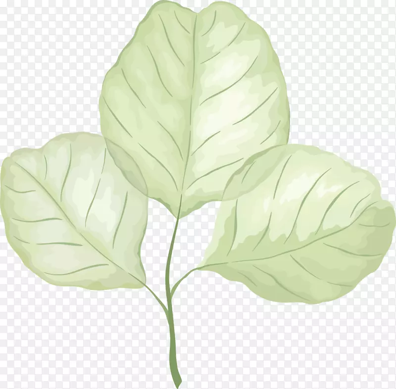 �ֻ���Ҷ�ز�-������