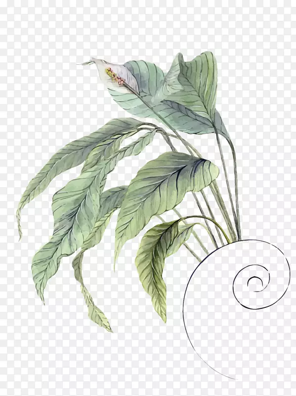 ʸ����Ҷ-������