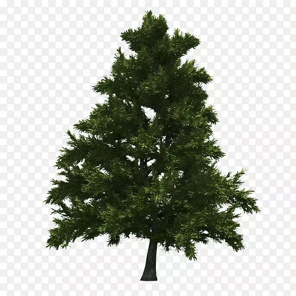 ʥ����ʱ�����õ�����-������