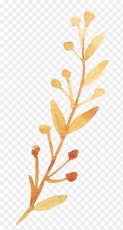 ˮ�ʻ�����-������