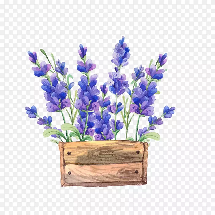 ˮ�ʻ�����-������