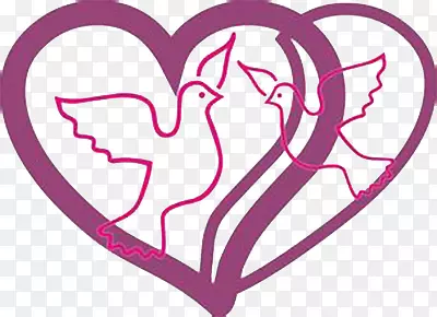 ������ӡ�ز�-������