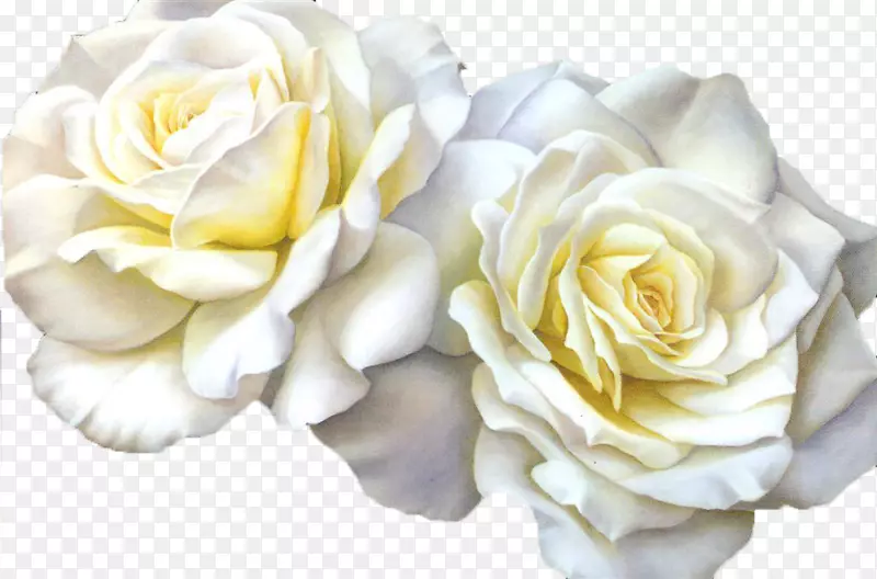 ��ɫɽ�軨-������