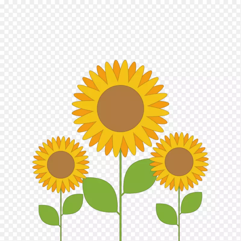 ��ͨ��ƽ�����տ����-������